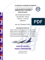 E5 Andrea Almendares UNAHCaso IIFed Ex