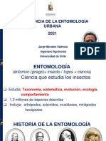 Introduccion A La Entomologia Urbana 2021 Jmorales