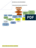 Flujograma de Practica Procesal Administrativo