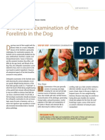 Orthopedic Examination of The Forelimb in The Dog: Procedures Pro