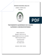 Tratamiento Quirúrgico de Canino Superior e Inferior