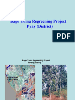 Bago Yoma Regreening Project - Bago Presentation (Pyay)