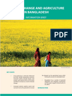 Climate Change and Agriculture in Bangladesh: Information Brief