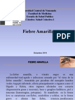 Fiebre Amarilla2018