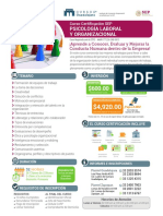 Curso Certificación SEP Psicología Laboral y Organizacional - 2021