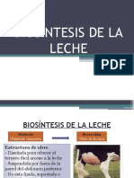 Biosintesis de La Leche