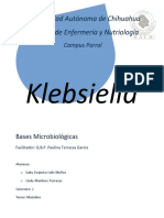 Klebsiella