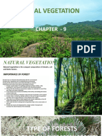 Natural Vegetation: Chapter - 9