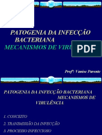 Aula 3 - Mecanismos de Virulencia