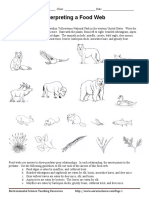 Food Web Interpretation 1 1