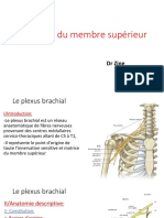 Les Nerfs Du Membre Superieur 1