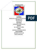 Cadena Epidemiologica de La Caries Dental