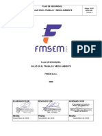 1.-Plan Anual de Seguridad Fmsemsac