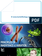 5 Principles of Inheritance and Variation