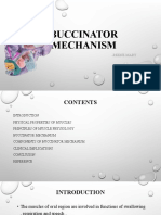 Buccinator Mechanism: - Reene Mary