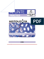 Apunte 3era Histologia