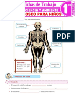 El Sistema Oseo para Niños para Primer Grado de Primaria