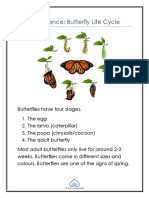 Primary Science: Butterfly Life Cycle