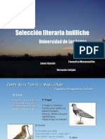 Selección Literaria Poetas Huilliches