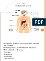 Unit 13 Endocrine Gland