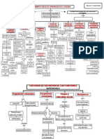 Esquema Funcionamiento Areas de Aprendizaje Del Cerebro