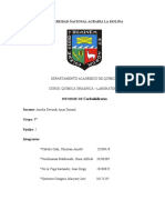 Informe de Carbohidratos