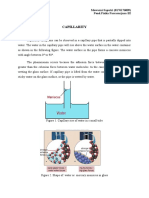 Capillarity: Mawarni Saputri (8176176009) Pend - Fisika Pascasarjana B2