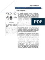 Practica N0 04 Sistema Muscular (Giannella)