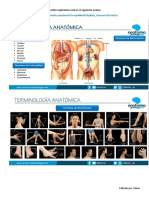 Terminología Anatómica