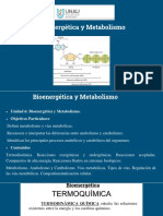 2-Bioenergética y Metabolismo - Clase Teórica