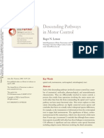 Descending Pathways in Motor Control