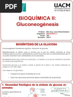 Gluconeogénesis