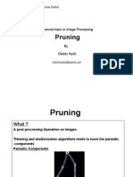 Pruning: Advanced Topic in Image Processing