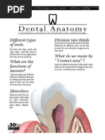 Dental Anatomy - Lecture 4