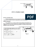 TP2 Pendules Couples