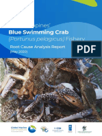 The Philippines': Blue Swimming Crab