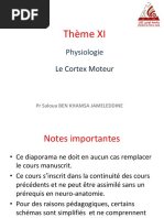 Le Cortex Moteur (Cours)