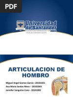 Biomecanica de Hombro y Cadera