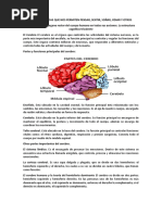 1ro Psicología