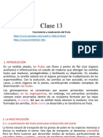 Teoria 13