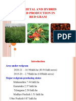 Varietal and Hybrid Seed Production in Red Gram