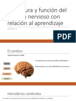 Estructura y Función Del Sistema Nervioso Con Relación