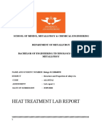 Heat Treatment Lab Report