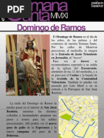 Recomendaciones Domingo de Ramos