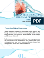 Bahan Ajar KD 3.4 Sistem Pencernaan Pada Manusia (Organ Dan Kelenjar Pencernaan)