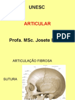 Articulacao