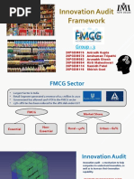 Innovation Audit Framework: Group - 3