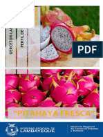 Pitahaya Fresca