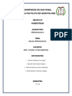 Bolsa Periodontal