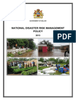 National Disaster Risk Management